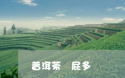 普洱茶 屁多/2023042775619